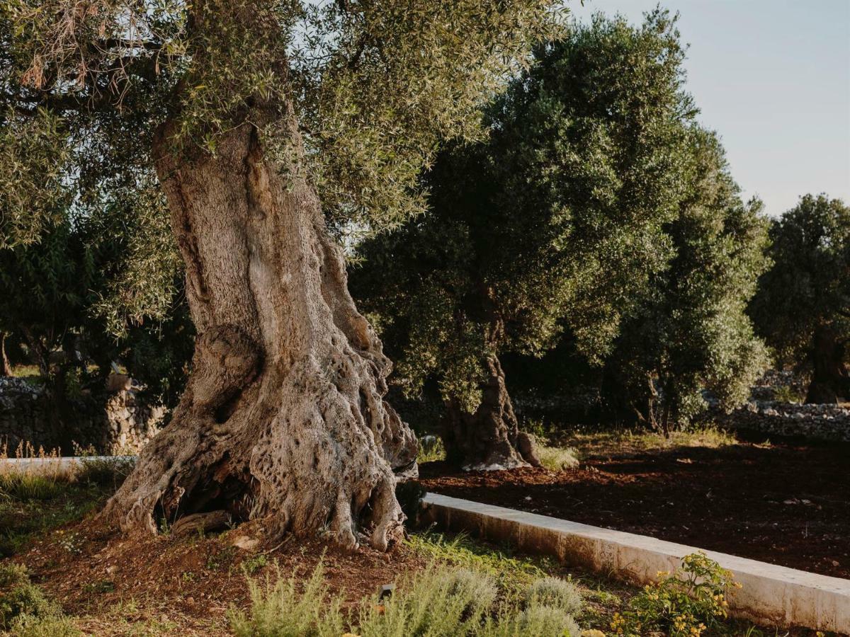 Masseria Dagilupi オストゥーニ エクステリア 写真